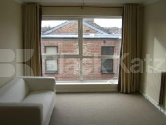 			1 Bedroom, 1 bath, 1 reception Apartment			 Green lanes, wood green